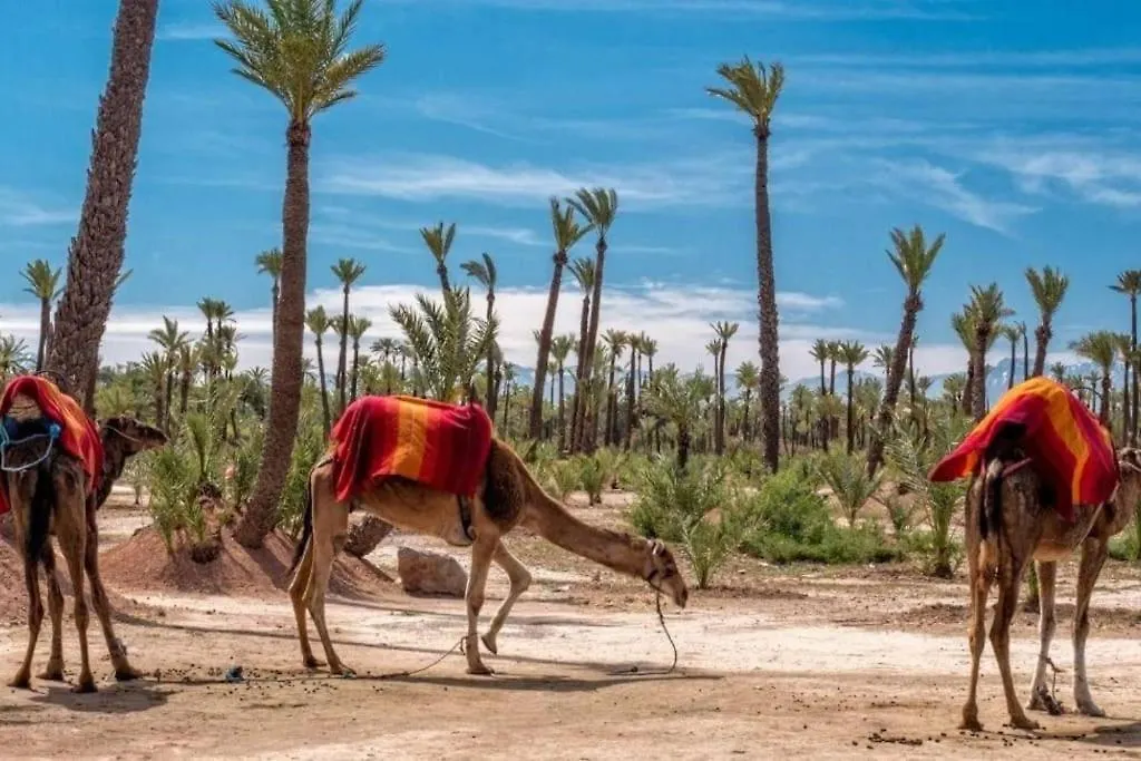 Appartamento Step Into Elegance - Marrakech Marrakesh